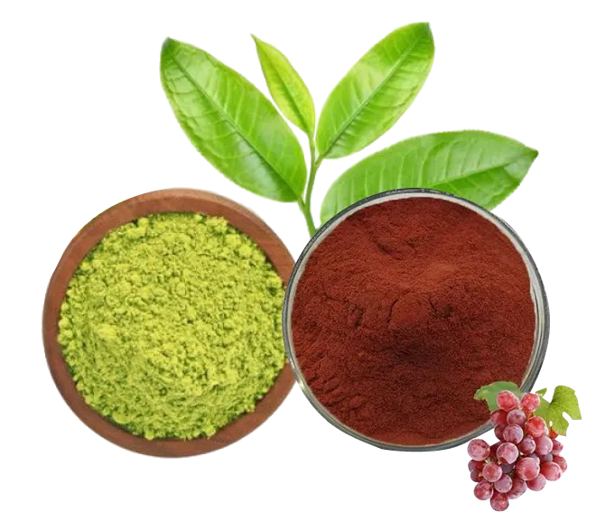 Blood Flow Complex - Deliver Nutrients Where They’re Needed Most