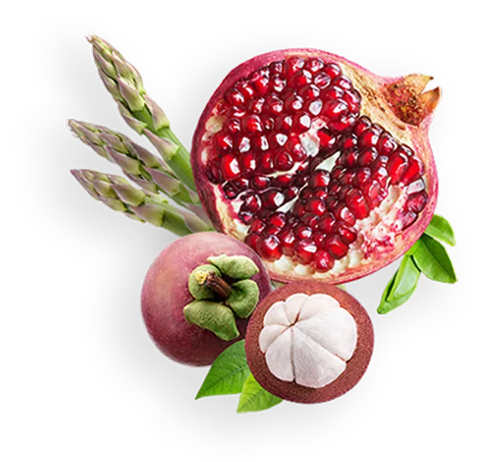 Dermaval - To Block Elastase Production