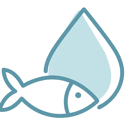 The Best Omega Supplement In the World