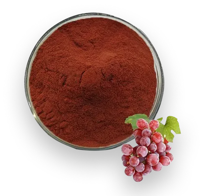 Grapeseed Extract - To Reinforce Elasticity