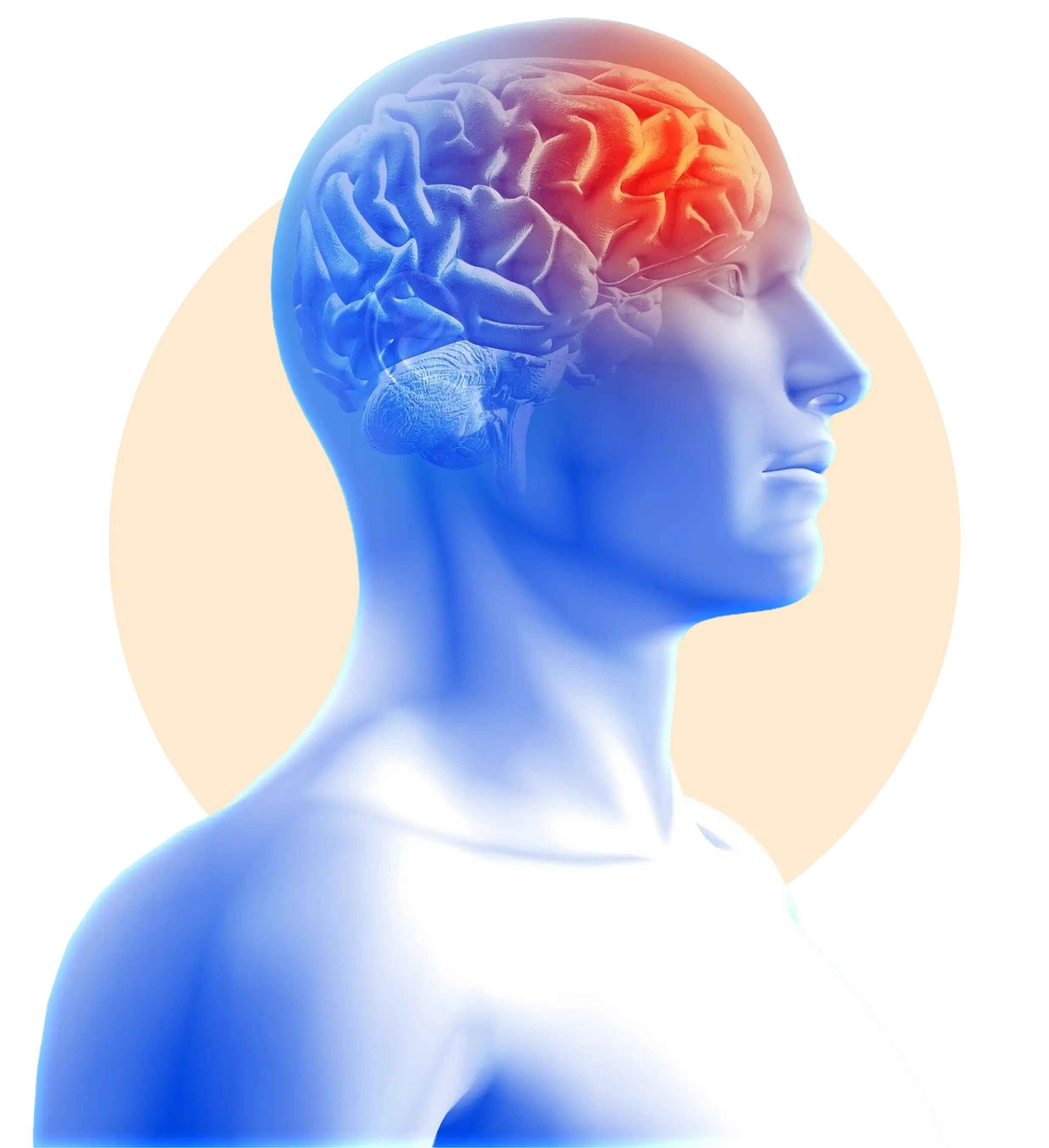 Is Your Brain Starving For Magnesium?