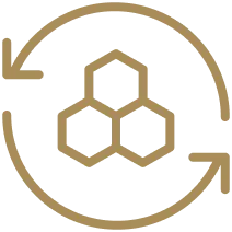 Your skin metabolism is running in high gear