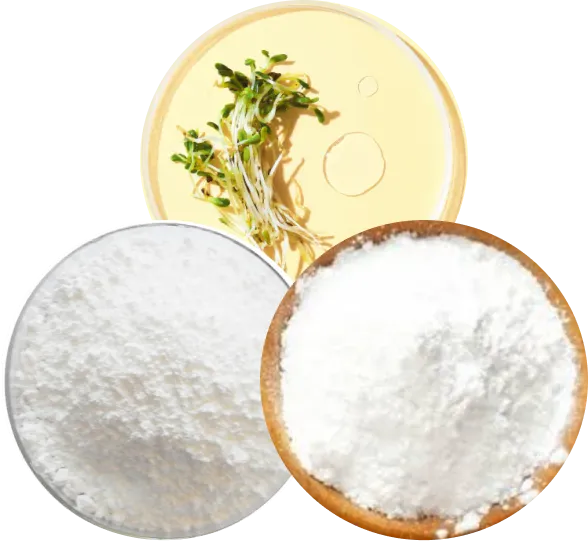 SuperNutrient Complex - Fuel the Growth Cycle