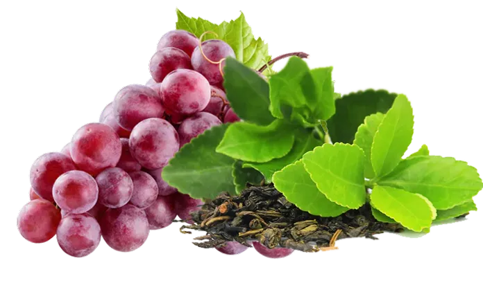 For Fat Loss Support