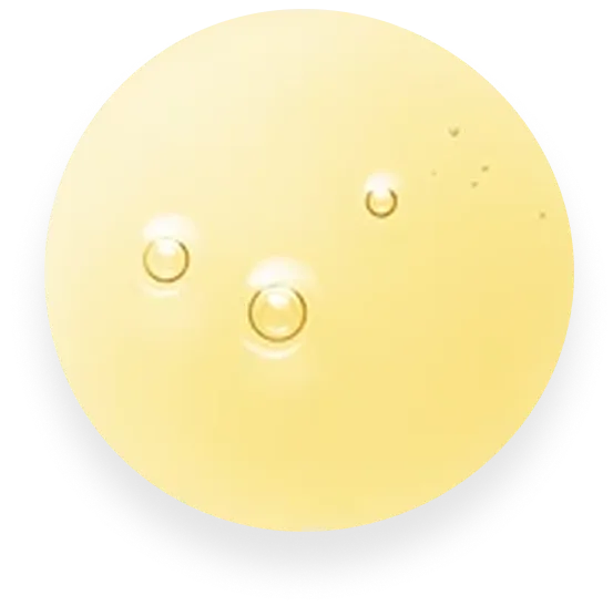 Refined Triglycerides